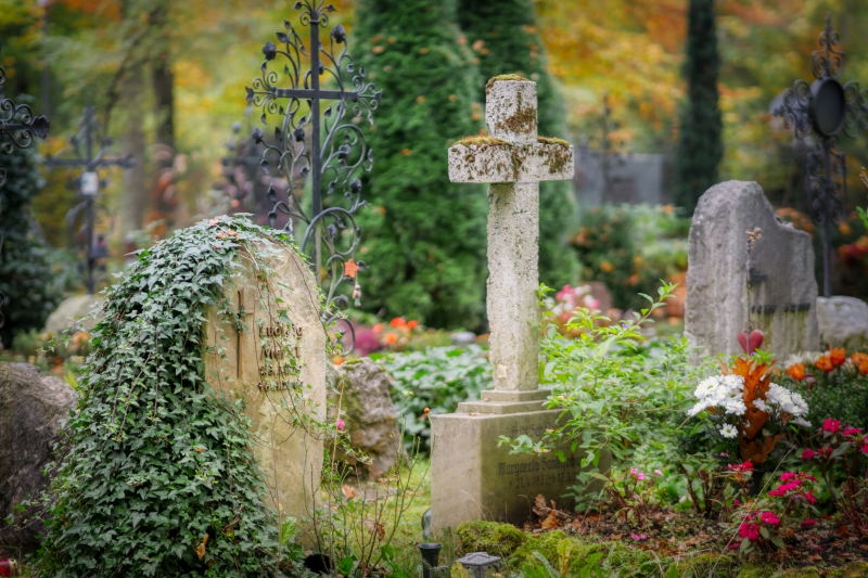 funeraire-ST DALMAS LE SELVAGE-min_cemetery-4653166